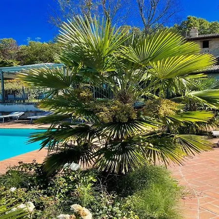 Gardens, Pool, Jaccuzzi Spoleto-poolside-slps 20 1 Hour To Rome Willa *